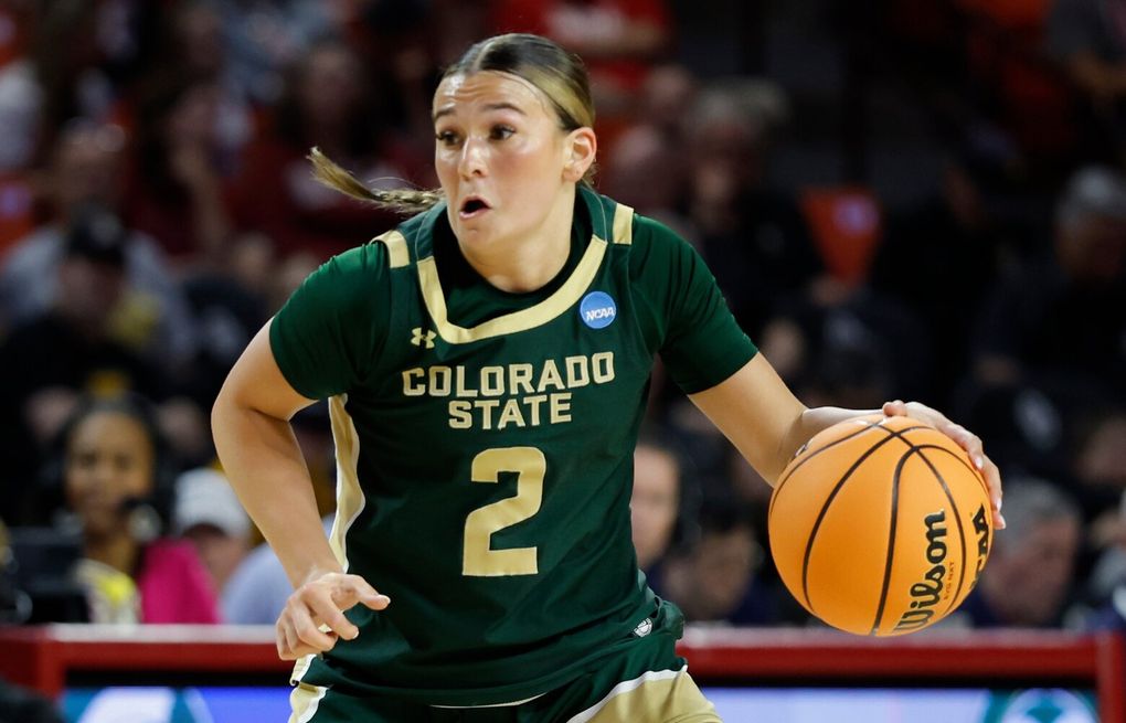 Meet Brooke Carlson: Washington Women's Basketball's Newest Transfer Star